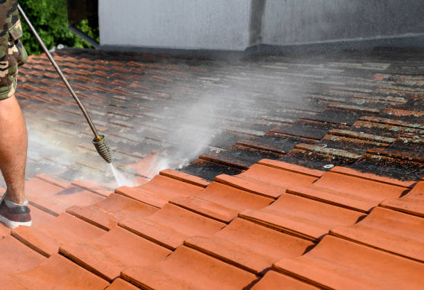 Best Concrete Pressure Washing  in Lake Los Angeles, CA