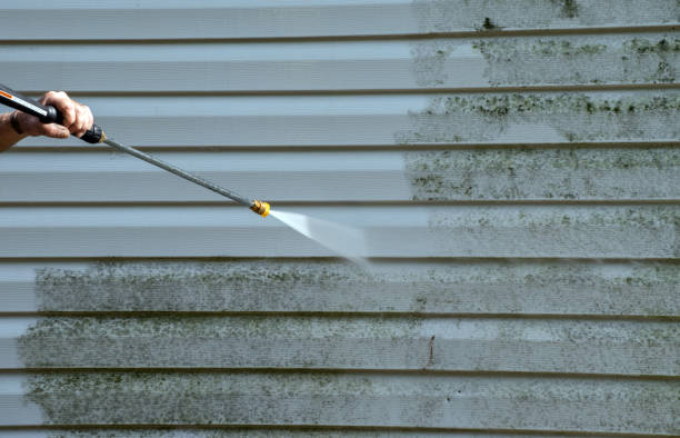 Best Roof Pressure Washing  in Lake Los Angeles, CA